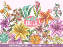 Load image into Gallery viewer, Lily Flowers Clipart - Pastel Lilies Graphics Set by SLS Lines