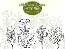 Load image into Gallery viewer, Procreate Stamps, Wildflowers &amp; Leaves Free Set