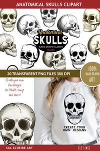 Anatomical Skulls Clipart - Human Skull Illustrations PNG - SLS Lines