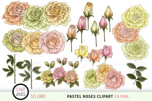 Pastel Roses Clipart - Pretty Softly Colored Rose Illustrations PNG - SLS Lines