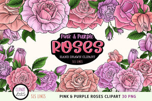 Pink & Purple Roses Clipart - Pretty Rose Illustrations PNG - SLSLines