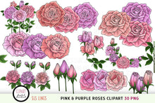 Load image into Gallery viewer, Pink &amp; Purple Roses Clipart - Pretty Rose Illustrations PNG - SLSLines