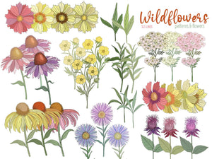 Wildflowers Clipart - High Quality Flower Graphics Bundle by SLS Lines