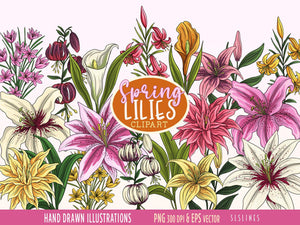 Lily Clipart Flowers - Spring Lilies Graphics Set