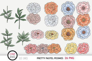 Peonies Clipart - Pastel Peony Flowers PNG - SLS Lines