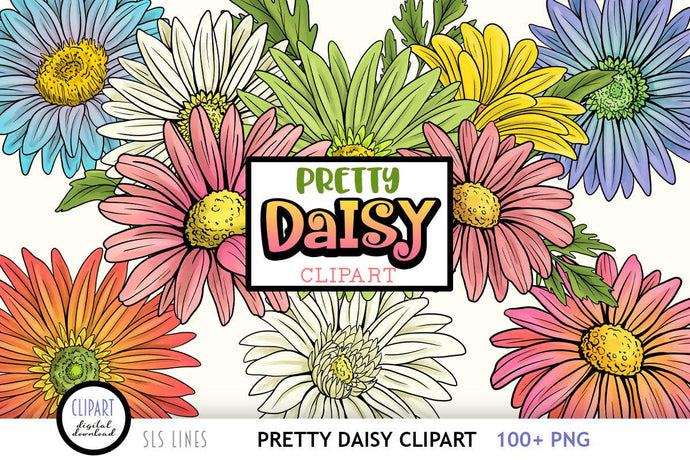 Daisy Clipart Bundle - Pretty Daisies PNG Set