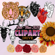 Load image into Gallery viewer, Clipart &amp; Elements Drive Q1-2023: Illustrations &amp; Graphics - SLS Lines 