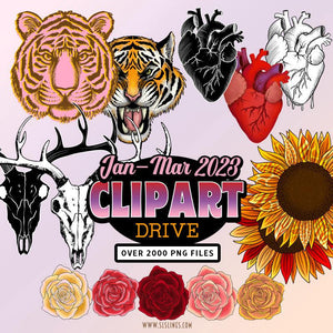 Clipart & Elements Drive Q1-2023: Illustrations & Graphics - SLS Lines 