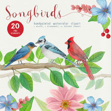 Load image into Gallery viewer, Song Birds Watercolor Clipart - slslines