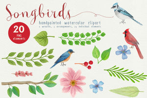 Song Birds Watercolor Clipart - slslines
