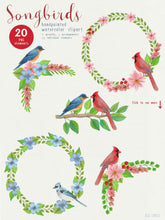 Load image into Gallery viewer, Song Birds Watercolor Clipart - slslines