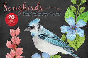 Song Birds Watercolor Clipart - slslines