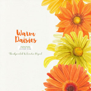 Warm Daisies Watercolor Clipart Set - slslines
