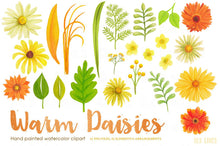 Load image into Gallery viewer, Warm Daisies Watercolor Clipart Set