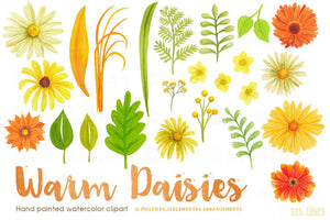 Warm Daisies Watercolor Clipart Set