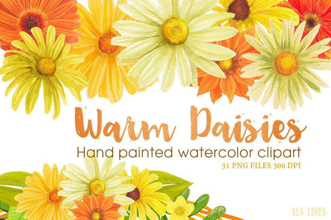 Warm Daisies Watercolor Clipart Set