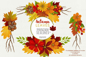 Autumn Leaves Fall Foliage Watercolor Clipart - SLSLines