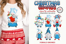 Load image into Gallery viewer, Christmas Gnomes Sublimation | Blue Snowflakes &amp; Candy Canes - SLSLines