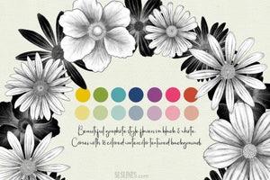 Graphite Style Floral Design Set - SLSLines