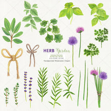 Load image into Gallery viewer, Herb Garden &amp; Herb Wreaths Watercolor Clipart - SLSLines