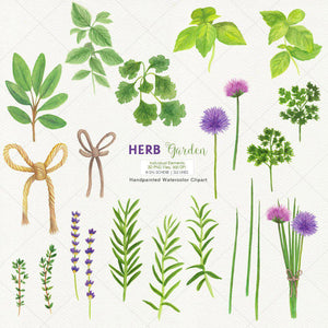 Herb Garden & Herb Wreaths Watercolor Clipart - SLSLines