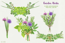 Load image into Gallery viewer, Herb Garden &amp; Herb Wreaths Watercolor Clipart - SLSLines