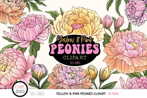 Peony Clipart - Pink & Yellow Peonies PNG Elements - SLS Lines